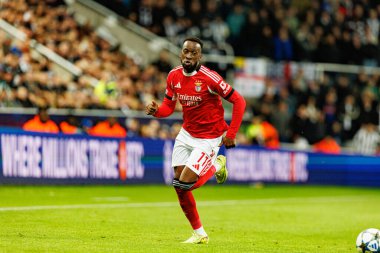 Dodi Lukebakio, Newcastle United FC ile SL Benfica (Maciej Rogowski / Ball Raw Images) arasındaki Şampiyonlar Ligi faz maçında görüldü.)