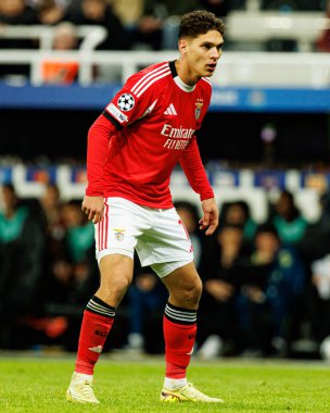 Georgiy Sudakov, Newcastle United ve SL Benfica (Maciej Rogowski / Ball Raw Images) arasında Şampiyonlar Ligi faz maçında görüldü)