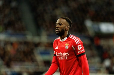 Dodi Lukebakio, Newcastle United FC ile SL Benfica (Maciej Rogowski / Ball Raw Images) arasındaki Şampiyonlar Ligi faz maçında görüldü.)