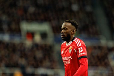Dodi Lukebakio, Newcastle United FC ile SL Benfica (Maciej Rogowski / Ball Raw Images) arasındaki Şampiyonlar Ligi faz maçında görüldü.)