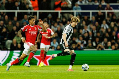 Richard Rios ve Anthony Gordon, Newcastle United FC ve SL Benfica (Maciej Rogowski / Ball Raw Images) arasındaki Şampiyonlar Ligi faz maçında görüldü.)
