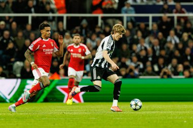 Richard Rios ve Anthony Gordon, Newcastle United FC ve SL Benfica (Maciej Rogowski / Ball Raw Images) arasındaki Şampiyonlar Ligi faz maçında görüldü.)