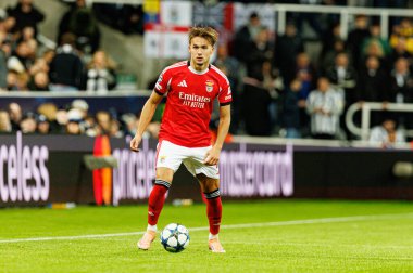 Amar Dediç, Newcastle United FC ile SL Benfica (Maciej Rogowski / Ball Raw Images) arasındaki Şampiyonlar Ligi faz maçında görüldü.)