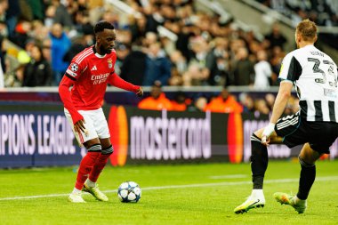 Dodi Lukebakio, Newcastle United FC ile SL Benfica (Maciej Rogowski / Ball Raw Images) arasındaki Şampiyonlar Ligi faz maçında görüldü.)