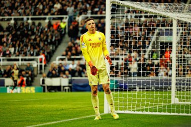 Anatoliy Trubin, Newcastle United FC ve SL Benfica (Maciej Rogowski / Ball Raw Images) arasında Şampiyonlar Ligi faz oyunu sırasında görüldü)