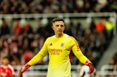 Anatoliy Trubin, Newcastle United FC ve SL Benfica (Maciej Rogowski / Ball Raw Images) arasında Şampiyonlar Ligi faz oyunu sırasında görüldü)