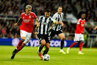 Enzo Barrenechea ve Bruno Guimaraes, Newcastle United ve SL Benfica (Maciej Rogowski / Ball Raw Images) arasında Şampiyonlar Ligi faz maçında görüldü.)