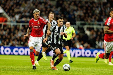 Enzo Barrenechea ve Bruno Guimaraes, Newcastle United ve SL Benfica (Maciej Rogowski / Ball Raw Images) arasında Şampiyonlar Ligi faz maçında görüldü.)