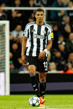 Malick Thiaw, Newcastle United FC ve SL Benfica (Maciej Rogowski / Ball Raw Images) arasındaki Şampiyonlar Ligi faz maçında görüldü)