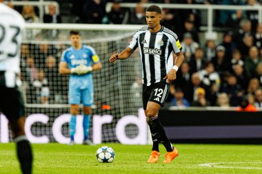 Malick Thiaw, Newcastle United FC ve SL Benfica (Maciej Rogowski / Ball Raw Images) arasındaki Şampiyonlar Ligi faz maçında görüldü)