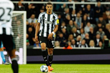 Malick Thiaw, Newcastle United FC ve SL Benfica (Maciej Rogowski / Ball Raw Images) arasındaki Şampiyonlar Ligi faz maçında görüldü)
