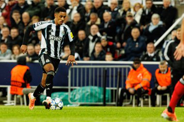 Jacob Ramsey, Newcastle United FC ve SL Benfica (Maciej Rogowski / Ball Raw Images) arasındaki Şampiyonlar Ligi faz maçında görüldü.)