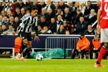 Jacob Ramsey, Newcastle United FC ve SL Benfica (Maciej Rogowski / Ball Raw Images) arasındaki Şampiyonlar Ligi faz maçında görüldü.)