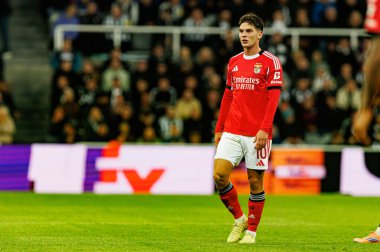 Georgiy Sudakov, Newcastle United ve SL Benfica (Maciej Rogowski / Ball Raw Images) arasında Şampiyonlar Ligi faz maçında görüldü)