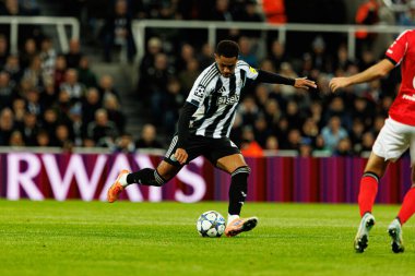 Jacob Ramsey, Newcastle United FC ve SL Benfica (Maciej Rogowski / Ball Raw Images) arasındaki Şampiyonlar Ligi faz maçında görüldü.)