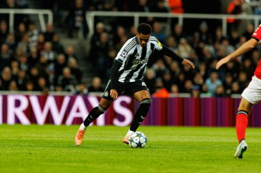 Jacob Ramsey, Newcastle United FC ve SL Benfica (Maciej Rogowski / Ball Raw Images) arasındaki Şampiyonlar Ligi faz maçında görüldü.)