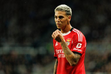 Enzo Barrenechea, Newcastle United FC ve SL Benfica (Maciej Rogowski / Ball Raw Images) arasındaki Şampiyonlar Ligi faz maçında görüldü.)