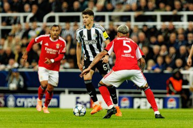 Lewis Miley, Newcastle United FC ve SL Benfica (Maciej Rogowski / Ball Raw Images) arasındaki Şampiyonlar Ligi faz maçında görüldü.)