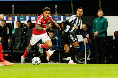 Richard Rios ve Jacob Ramsey, Newcastle United FC ile SL Benfica (Maciej Rogowski / Ball Raw Images) arasındaki Şampiyonlar Ligi faz maçında görüldü.)