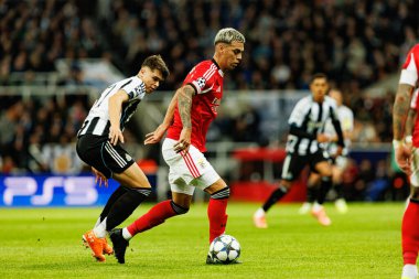 Lewis Miley ve Enzo Barrenechea, Newcastle United FC ile SL Benfica (Maciej Rogowski / Ball Raw Images) arasındaki Şampiyonlar Ligi faz maçında görüldü.)