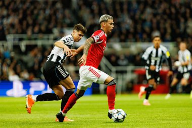 Lewis Miley ve Enzo Barrenechea, Newcastle United FC ile SL Benfica (Maciej Rogowski / Ball Raw Images) arasındaki Şampiyonlar Ligi faz maçında görüldü.)