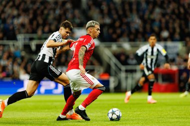 Lewis Miley ve Enzo Barrenechea, Newcastle United FC ile SL Benfica (Maciej Rogowski / Ball Raw Images) arasındaki Şampiyonlar Ligi faz maçında görüldü.)