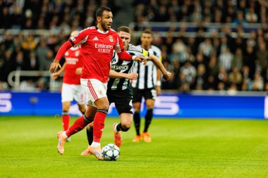 Vangelis Pavlidis, Newcastle United FC ve SL Benfica (Maciej Rogowski / Ball Raw Images) arasındaki Şampiyonlar Ligi faz maçında görüldü)