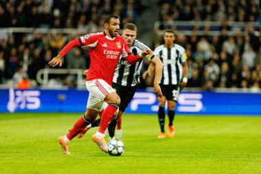 Vangelis Pavlidis, Newcastle United FC ve SL Benfica (Maciej Rogowski / Ball Raw Images) arasındaki Şampiyonlar Ligi faz maçında görüldü)