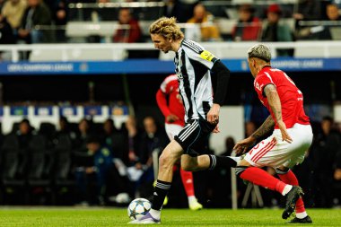 Nick Woltemade, Newcastle United FC ve SL Benfica (Maciej Rogowski / Ball Raw Images) arasında Şampiyonlar Ligi faz maçında görüldü.)