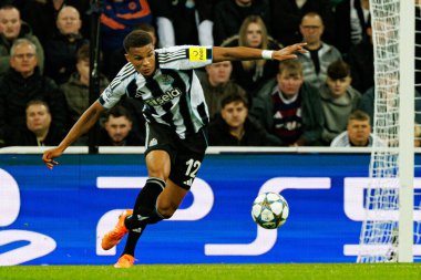 Malick Thiaw, Newcastle United FC ve SL Benfica (Maciej Rogowski / Ball Raw Images) arasındaki Şampiyonlar Ligi faz maçında görüldü)