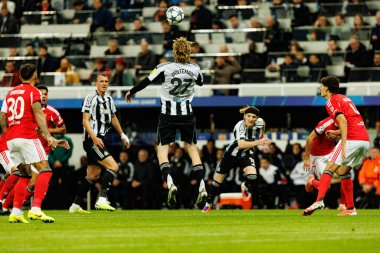 Nick Woltemade, Newcastle United FC ve SL Benfica (Maciej Rogowski / Ball Raw Images) arasında Şampiyonlar Ligi faz maçında görüldü.)