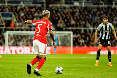 Enzo Barrenechea, Newcastle United FC ve SL Benfica (Maciej Rogowski / Ball Raw Images) arasındaki Şampiyonlar Ligi faz maçında görüldü.)