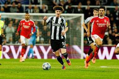Anthony Gordon, Newcastle United FC ve SL Benfica (Maciej Rogowski / Ball Raw Images) arasındaki Şampiyonlar Ligi faz maçında görüldü.)