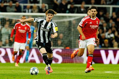 Anthony Gordon, Newcastle United FC ve SL Benfica (Maciej Rogowski / Ball Raw Images) arasındaki Şampiyonlar Ligi faz maçında görüldü.)