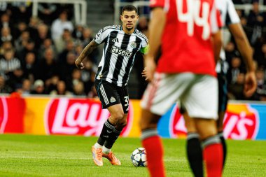 Bruno Guimaraes, Newcastle United FC ve SL Benfica (Maciej Rogowski / Ball Raw Images) arasında Şampiyonlar Ligi faz oyunu sırasında görüldü.)