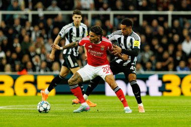 Richard Rios ve Jacob Ramsey, Newcastle United FC ile SL Benfica (Maciej Rogowski / Ball Raw Images) arasındaki Şampiyonlar Ligi faz maçında görüldü.)