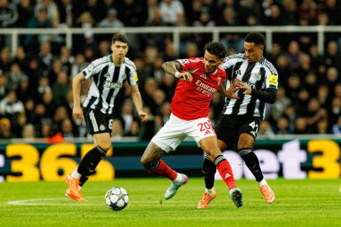 Richard Rios ve Jacob Ramsey, Newcastle United FC ile SL Benfica (Maciej Rogowski / Ball Raw Images) arasındaki Şampiyonlar Ligi faz maçında görüldü.)