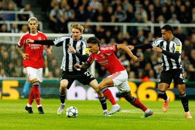 Nick Woltemade, Richard Rios ve Jacob Ramsey, Newcastle United FC ile SL Benfica (Maciej Rogowski / Ball Raw Images) arasındaki Şampiyonlar Ligi faz maçında görüldü.)