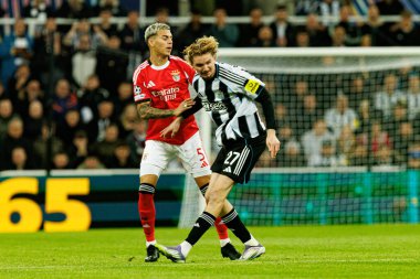 Enzo Barrenechea ve Nick Woltemade, Newcastle United ve SL Benfica (Maciej Rogowski / Ball Raw Images) arasında Şampiyonlar Ligi faz maçında görüldü.)