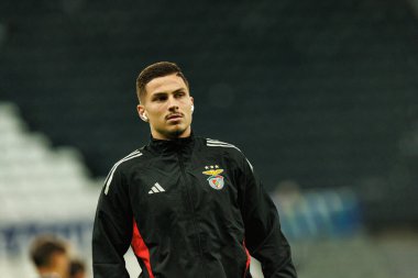 Franjo Ivanoviç, Newcastle United FC ile SL Benfica (Maciej Rogowski / Ball Raw Images) arasındaki Şampiyonlar Ligi faz maçında görüldü.)