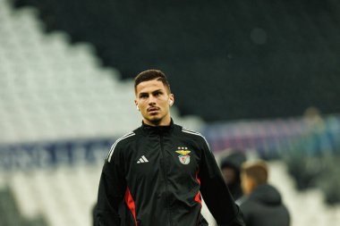 Franjo Ivanoviç, Newcastle United FC ile SL Benfica (Maciej Rogowski / Ball Raw Images) arasındaki Şampiyonlar Ligi faz maçında görüldü.)