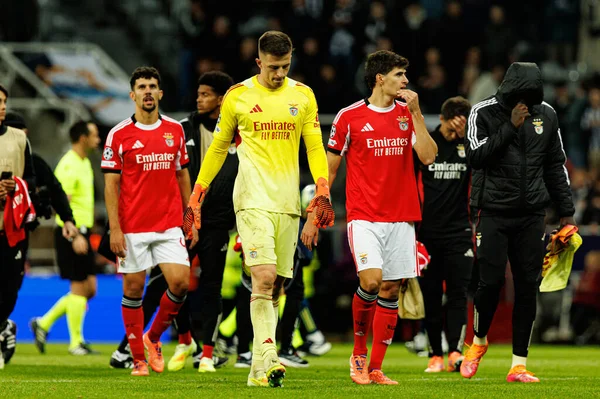 Anatoliy Trubin, Newcastle United FC ve SL Benfica (Maciej Rogowski / Ball Raw Images) arasında Şampiyonlar Ligi faz oyunu sırasında görüldü)