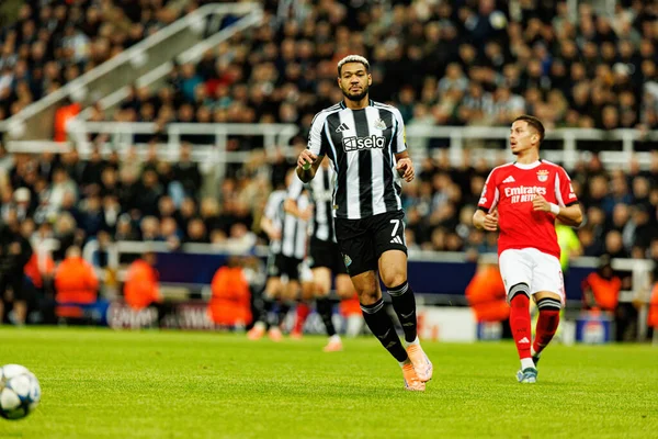 Joelinton, Newcastle United FC ve SL Benfica (Maciej Rogowski / Ball Raw Images) arasında Şampiyonlar Ligi faz oyunu sırasında görüldü)