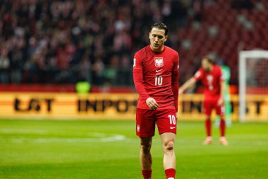 Dünya Kupası 2026 eleme maçında Polonya ve Hollanda milli takımları arasında görülen Piotr Zielinski (Maciej Rogowski / Ball Raw Images)