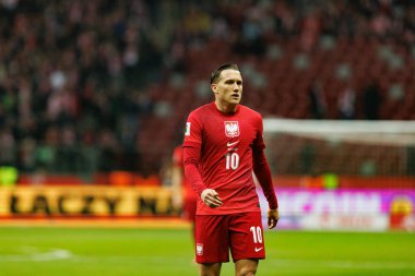 Dünya Kupası 2026 eleme maçında Polonya ve Hollanda milli takımları arasında görülen Piotr Zielinski (Maciej Rogowski / Ball Raw Images)