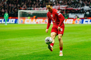 Dünya Kupası 2026 eleme maçında Polonya ve Hollanda milli takımları arasında görülen Piotr Zielinski (Maciej Rogowski / Ball Raw Images)