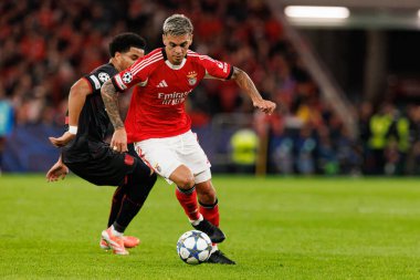 Malik Tillman ve Enzo Barrenechea SL Benfica ve Bayer 04 Leverkusen (Maciej Rogowski / Ball Raw Images) arasında Şampiyonlar Ligi faz maçında görüldü)
