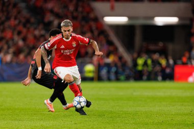 Malik Tillman ve Enzo Barrenechea SL Benfica ve Bayer 04 Leverkusen (Maciej Rogowski / Ball Raw Images) arasında Şampiyonlar Ligi faz maçında görüldü)