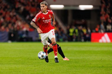 Enzo Barrenechea SL Benfica ve Bayer 04 Leverkusen (Maciej Rogowski / Ball Raw Images) arasındaki Şampiyonlar Ligi faz maçında görüldü.)