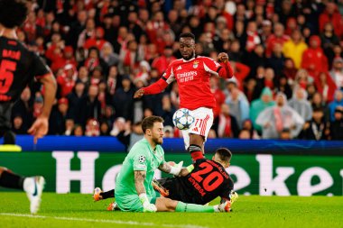 Mark Flekken, Alejandro Grimaldo ve Dodi Lukebakio SL Benfica ve Bayer 04 Leverkusen (Maciej Rogowski / Ball Raw Images) arasındaki Şampiyonlar Ligi faz maçında görüldü.)